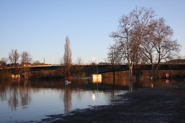 Hochwasser Aschaffenburg 16.01.2011 004.JPG